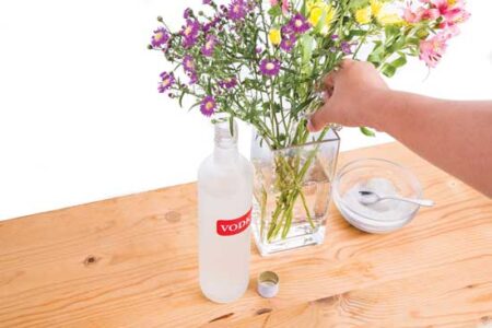 10 Household Uses for Vodka Image